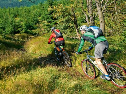 Mountainbiker am Rennsteig im Wald im Sommer