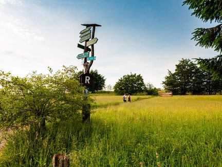 Wanderweg Masserberg mit Rennsteigsymbol