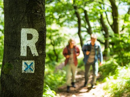 Paar bei einer Wanderung am Rennsteig im Wald