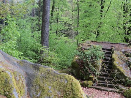 Foto vom Querkelstein bei Ahorn