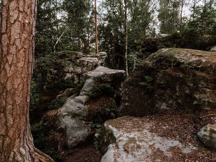 Felsformation in der Einberger Schweiz