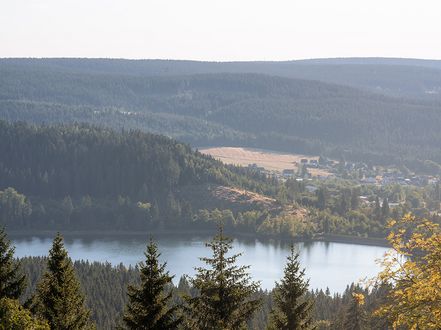 Der Stausee Scheibe-Alsbach befindet im Thüringer Wald im Landkreis Neuhaus am Rennweg. 