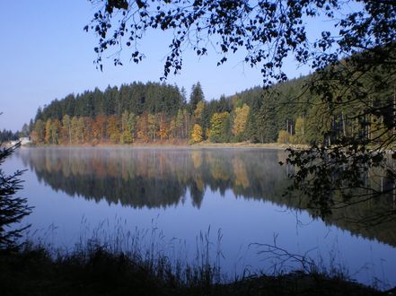 Wasserspiegelung Stausee Scheibe-Alsbach 