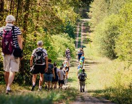 Wandergruppe auf dem Kolonnenweg am Grünen Band beim Wanderevent Coburg Rennsteig