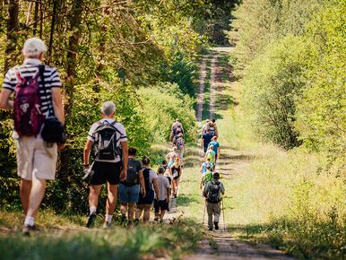 Wandergruppe auf dem Kolonnenweg am Grünen Band beim Wanderevent Coburg Rennsteig