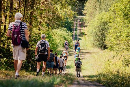 Wandergruppe auf dem Kolonnenweg am Grünen Band beim Wanderevent Coburg Rennsteig