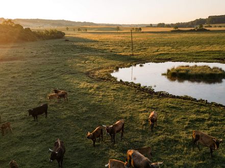 Die Landschaft in der Rodachaue